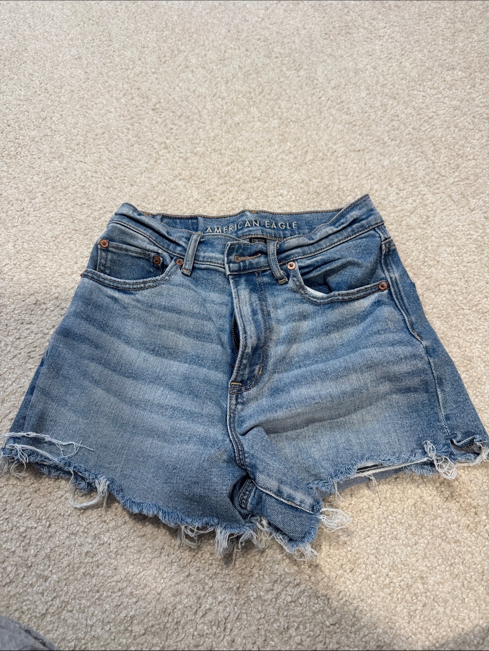 American Eagle Outfitters Light Blue Frayed Denim Cutoff Shorts